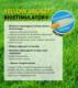 Barenbrug Trawa Barenbrug Regeneracyjna SOS Quick Repair 1kg 14