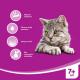 Whiskas SENIOR DRÓB W GALARETCE 4x100g 3