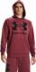 Under Armour Bluza męska Under Armour Rival Fleece Big Logo HD burgund 1357093 652 2XL 3