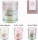 Intesi Świeczka The Beauty Candle Magnolia 1