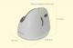 Mysz BakkerElkhuizen Evoluent VerticalMouse 4 (BNEEVR4WB/VM4RB) 2