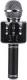 Mikrofon Pro-Link Karaoke VIS Czarny 1