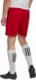 Adidas Spodenki adidas ENTRADA 22 Short H61735 H61735 czerwony XXL 4