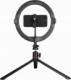 Lampa pierścieniowa AgfaPhoto AGFA ARL11  120 LED Ring VLOG + Statyw + Pilot 2