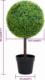 vidaXL vidaXL Sztuczny bukszpan w formie kul, w doniczce, zielony, 50 cm 4