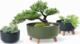 Prosperplast Doniczka Gracia Low DGRL400L antracytowa 3