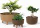 Prosperplast Doniczka Gracia Low Eco Wood DGRL400LW naturo eco 2