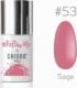 CHIODO PRO CHIODO PRO Follow Me #53 Sage 6ml 1