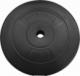 Physionics Physionics Zestaw obciążeń 2 x 5 kg, 27 mm 2