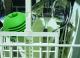 Ecozone Magnoball - Eliminator Osadu (ECZ02363) 2