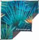 Lifesystems Picnic Blanket, Tropical 1