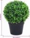 vidaXL Kule ze sztucznego bukszpanu w doniczce, 2 szt., zielone, 37 cm 6