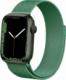 Crong Pasek ze stali nierdzewnej Crong Milano Steel do Apple Watch 42/44/45 mm zielony 4