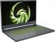 Laptop MSI Delta 15 AMD Advantage Edition A5EFK-079PL Ryzen 7 5800H / 16 GB / 1 TB / W11 / RX 6700M / 240 Hz 1