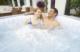 Jacuzzi ogrodowe Bestway Lay-Z-Spa Zurich 180 cm x 66 cm (60065) 14