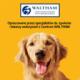 Pedigree PEDIGREE Schmackos Multi 144g 20 szt Przysmak Dla Psa 4