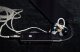 Wzmacniacz słuchawkowy EarMen EarMen Colibri - Hi-Power USB-DAC 6