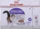 Royal Canin ROYAL CANIN FHN Sterilised w formie pasztetu - mokra karma dla kota dorosłego - 12x85g 1