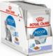 Royal Canin ROYAL CANIN FHN Indoor Sterilised - mokra karma w formie pasztetu dla dorosłych kotów - 12x85g 1