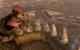 Fallout: New Vegas Wydanie Kompletne PC 6