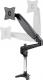 StarTech Uchwyt biurkowy na monitor 32"-49" (ARMPIVOTE2) 1