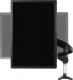 StarTech Uchwyt biurkowy na monitor 32"-49" (ARMPIVOTE2) 2
