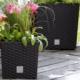 Garden Plast Donica RATO LOW 40x40x40,8cm ANTRACYT 1