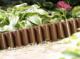Garden Plast Palisada ogrodowa PalGarden CZARNA 25 cm 8