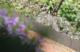 Garden Plast PALISADA obrzeże ogrodowe grafit 79 cm STONEPALISADE 3