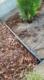 Garden Plast Obrzeże LIGHT 4,5 x 100 cm + 3 szpilki 9