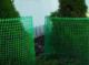 Bradas Siatka plastikowa, ogrodzeniowa 0,8 x 5 m zielona 6