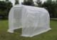 Saska Garden Szklarnia 300 cm x 200 cm x 200 cm (1039954) 2