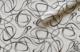 MallDeco TAPETA W SERPANTY 1