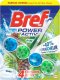 Bref Zawieszka WC kulki BREF POWER ACTIV CH-brefpoweraktpi50g Pine 50g 1