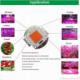 Tech-Led NOWOŚĆ HALOGEN GROW 100W led DO UPRAWY ROŚLIN W-WA 3