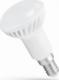 Spectrum LED Żarówka LED E14 6W R-50 CW 230V Spectrum 2