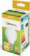 Spectrum LED Żarówka LED kulka E14 230V 4W neutral NW SPECTRUM 3