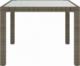vidaXL vidaXL Stół ogrodowy, 90x90x75 cm, szkło i rattan PE, szary 3