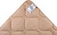 Comco BLANKET 220X200 1A5A2K/400-7-1 2