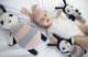 Piapimo Maskotka Pszczółka Piapi Różowa Small kolekcja CuddlyBee Piapimo 2