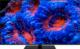 Telewizor Hitachi 65HAQ7350 QLED 65'' 4K Ultra HD Android 1
