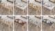 YRKE STOLIK KAWOWY-85x55x18-GOLD OAK-NOGI BUKOWE 8