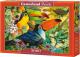 Castorland 3000 Interlude (300433) 1