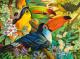 Castorland 3000 Interlude (300433) 1