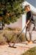 Odkurzacz Karcher WD 3 S V-19/4/20 EU (1.628-141.0) 4