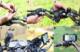 DKM X GRIP UCHWYT TELEFONU ROWEROWY MOTOCYKLOWY + GUMY 13