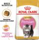 Royal Canin Persian Kitten karma sucha dla kociąt do 12 miesiąca życia rasy perskiej 10 kg 2