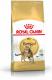 Royal Canin Bengal Adult karma sucha dla kotów dorosłych rasy bengal 10 kg 1