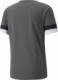 Puma Koszulka męska Puma teamRISE Smoked szara 704932 13 : Rozmiar - S 1