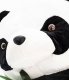 BLUBELL Duża Maskotka pluszowa Panda z dzieckiem 50 cm 2